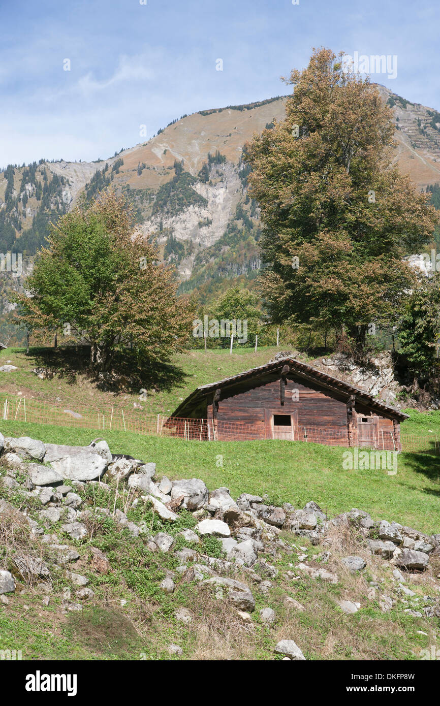 Museo all aperto Ballenberg, Oberland bernese, Canton Berna, Svizzera Foto Stock