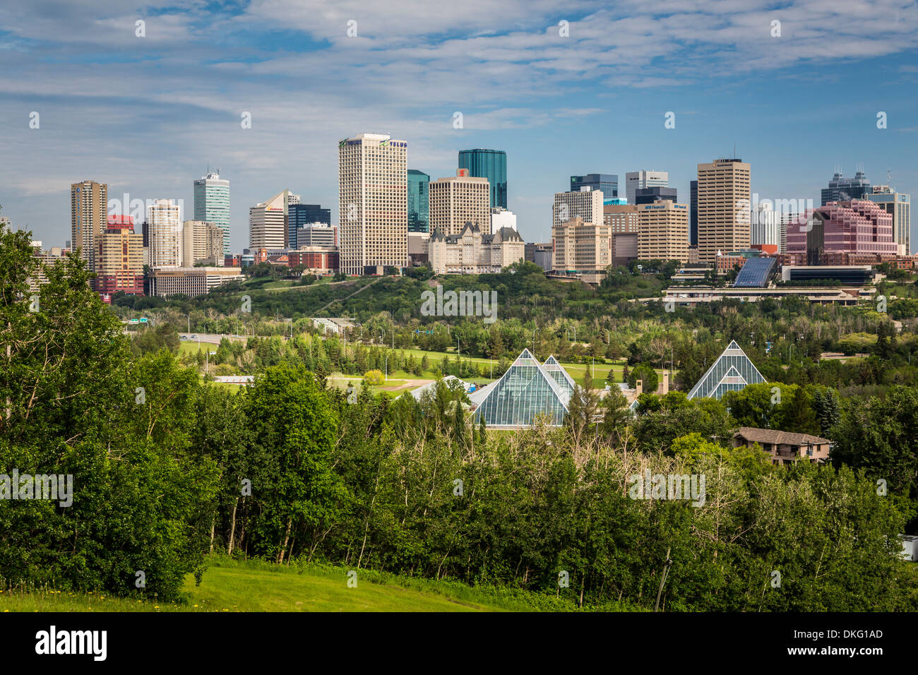 Lo skyline della città dal di sopra del Conservatorio Muttart in Edmonton, Alberta, Canada. Foto Stock