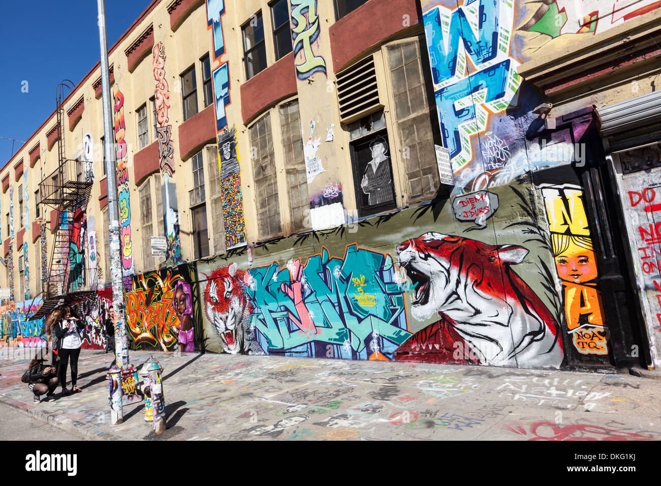 Cinque livelli Pointz era un magnete di noti artisti di graffiti, Long Island City, Queens, a New York City. Demolita Novembre 2013. Foto Stock