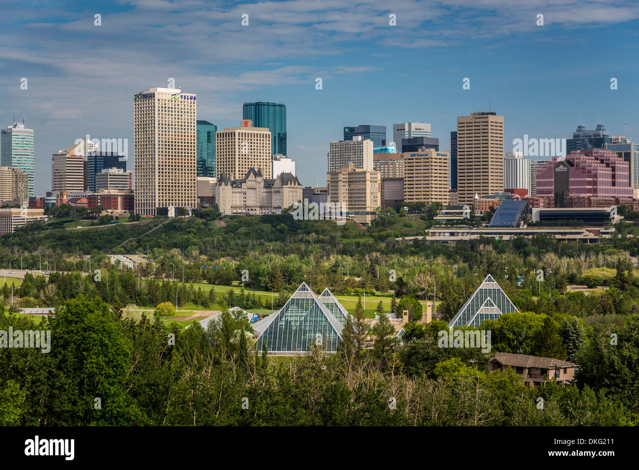 Lo skyline della città dal di sopra del Conservatorio Muttart in Edmonton, Alberta, Canada. Foto Stock