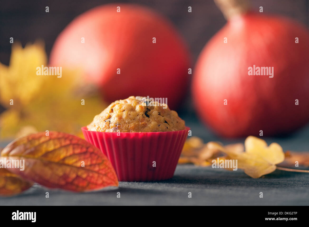 Muffin di zucca, Ottobrunn, Baviera, Germania, Europa Foto Stock