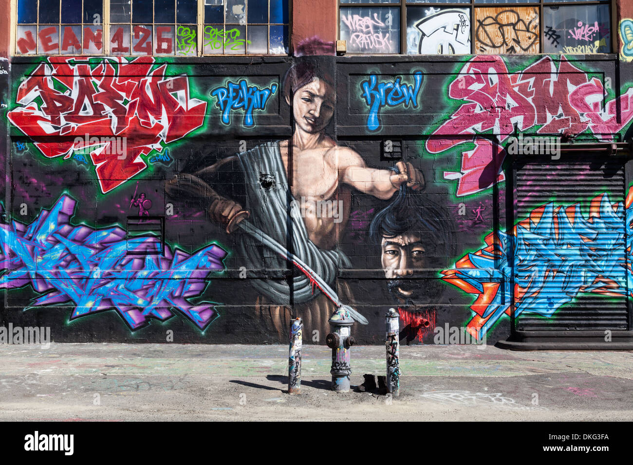 Cinque livelli Pointz era un magnete di noti artisti di graffiti, Long Island City, Queens, a New York City. Demolita Novembre 2013. Foto Stock