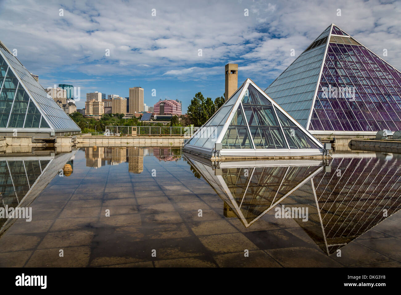 Il Conservatorio Muttart Piramidi e lo skyline della città di Edmonton, Alberta, Canada. Foto Stock