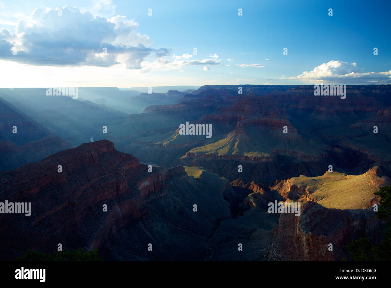 La luce del sole sul Grand Canyon dal south rim, Nevada, STATI UNITI D'AMERICA Foto Stock