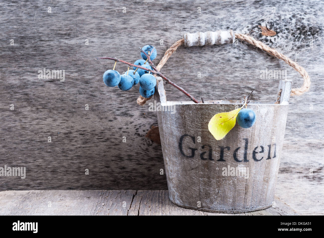 Autunno bacche giardino sul vecchio sfondo di legno Foto Stock