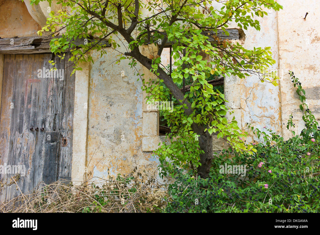 Edificio rovinato dopo il mese di agosto 1953 Terremoto in Assos, Cefalonia, Grecia Foto Stock