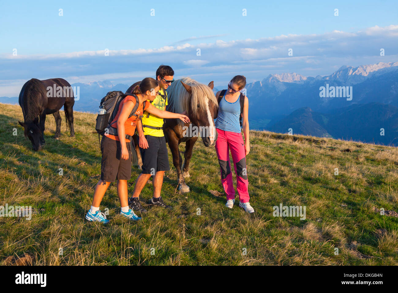 Gli escursionisti di montagna sul prato alpino con i cavalli nel gruppo Osterhorn, Stato di Salisburgo, Austria Foto Stock