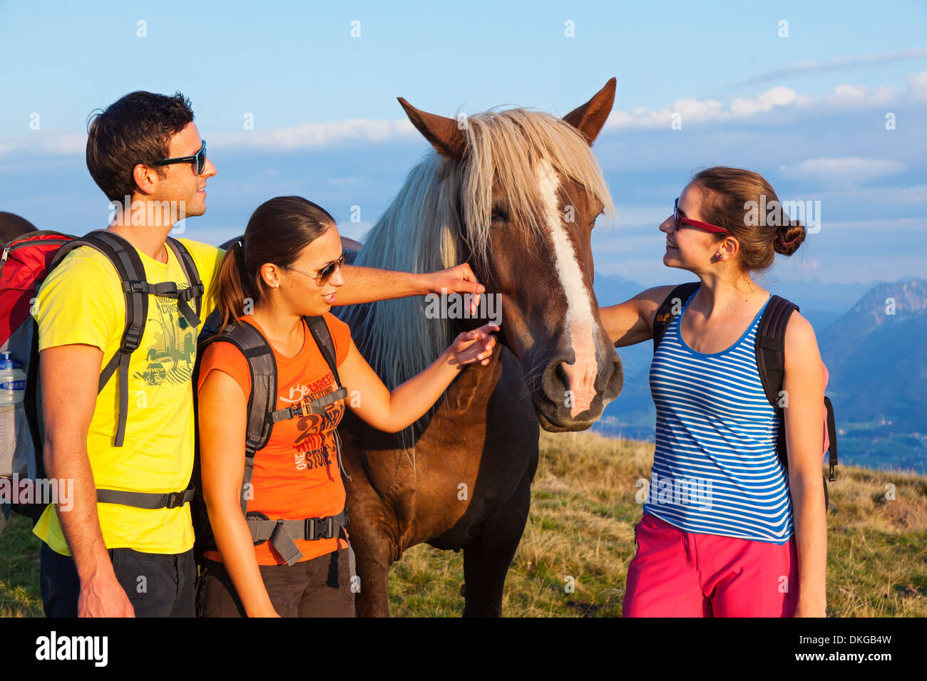 Gli escursionisti di montagna sul prato alpino con i cavalli nel gruppo Osterhorn, Stato di Salisburgo, Austria Foto Stock