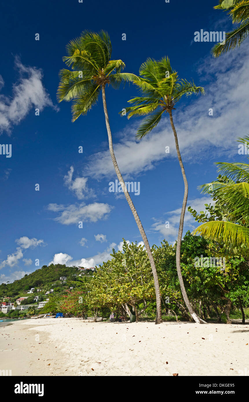 Grand Anse Beach, Grenada, isole Windward, Piccole Antille, Antille, Caraibi, America Foto Stock