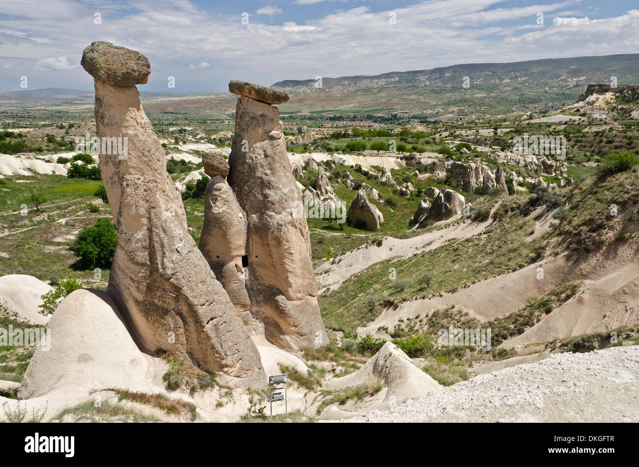 Colonne di roccia, Cappadocia, Anatolia, Turchia, Asia Foto Stock