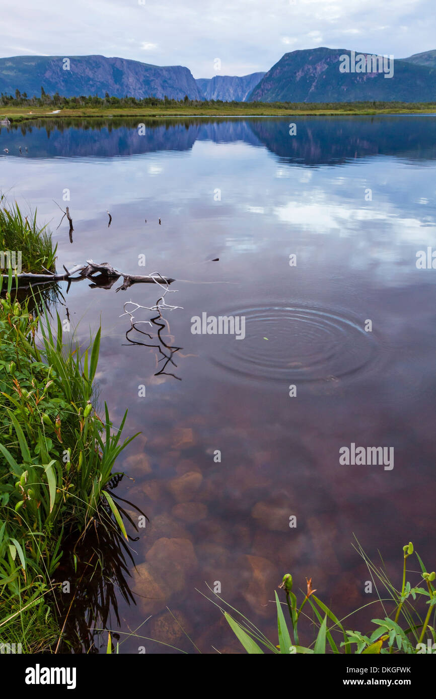 Il blue scogliere di Western Brook Pond sono riflesse in un stagno rivestiti con rocce rosse nel Parco Nazionale Gros Morne in Terranova Foto Stock