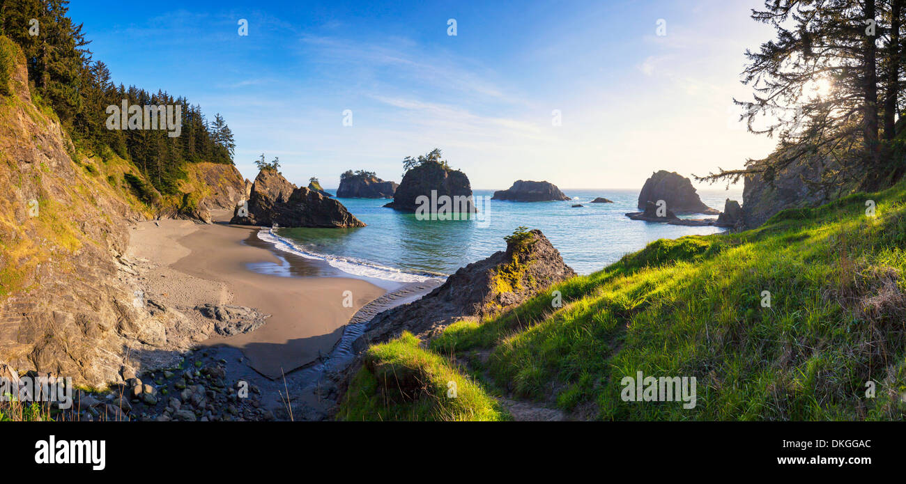 Tramonto al cliff coast a Samuel H Boardman parco statale, Oregon, Stati Uniti d'America Foto Stock