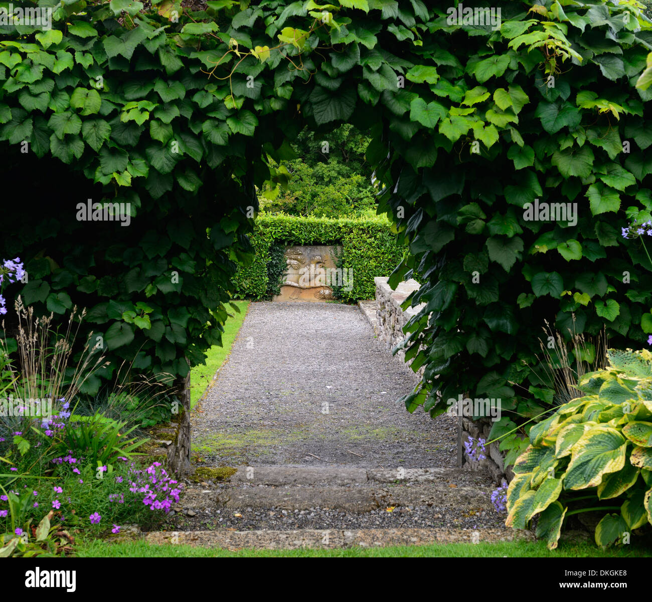 Percorso percorso attraverso l'arco coperto kilfane glen garden thomastown Irlanda Kilkenny Foto Stock