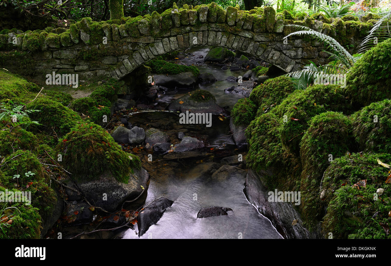 Moss rocce coperte singolo span arco in pietra ponte sul torrente kilfane glen e giardini Irlanda Kilkenny Foto Stock