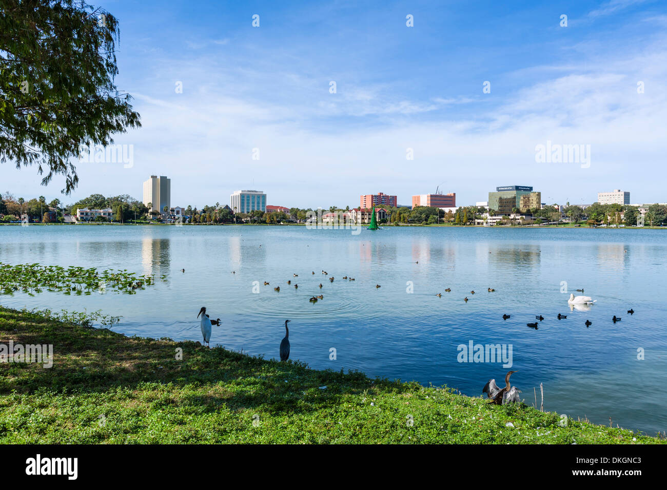 Panorama del Lago di Morton verso la zona del centro storico, Lakeland, Polk County, Florida centrale, STATI UNITI D'AMERICA Foto Stock