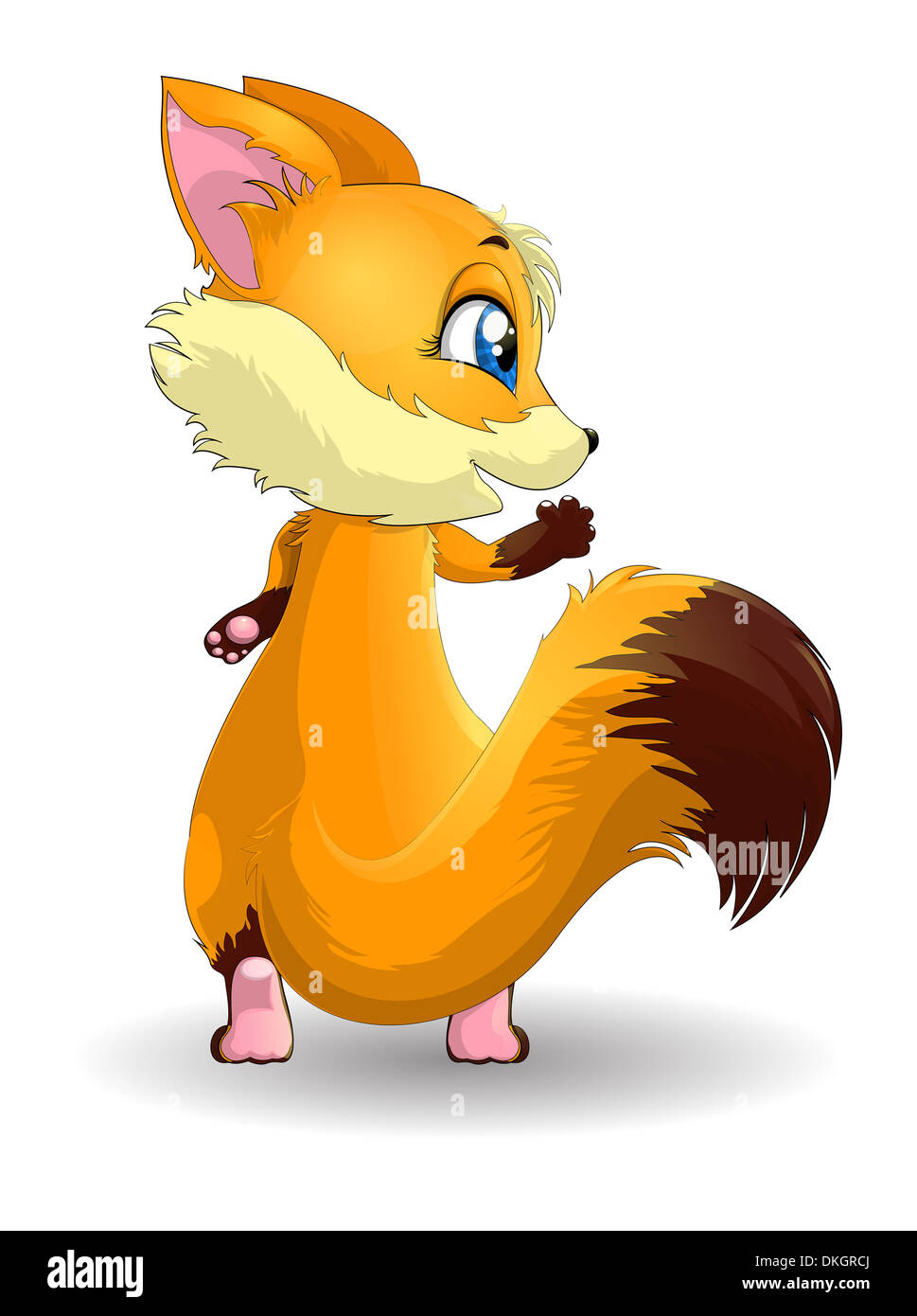 Bella fox su sfondo bianco un ritorno al visualizzatore Foto Stock