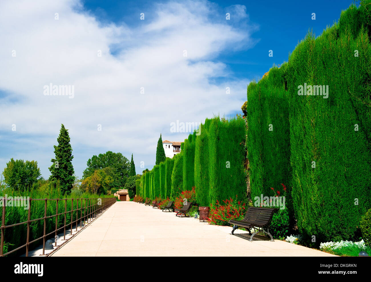 Giardino Alhambra di Granada, Spagna Foto Stock