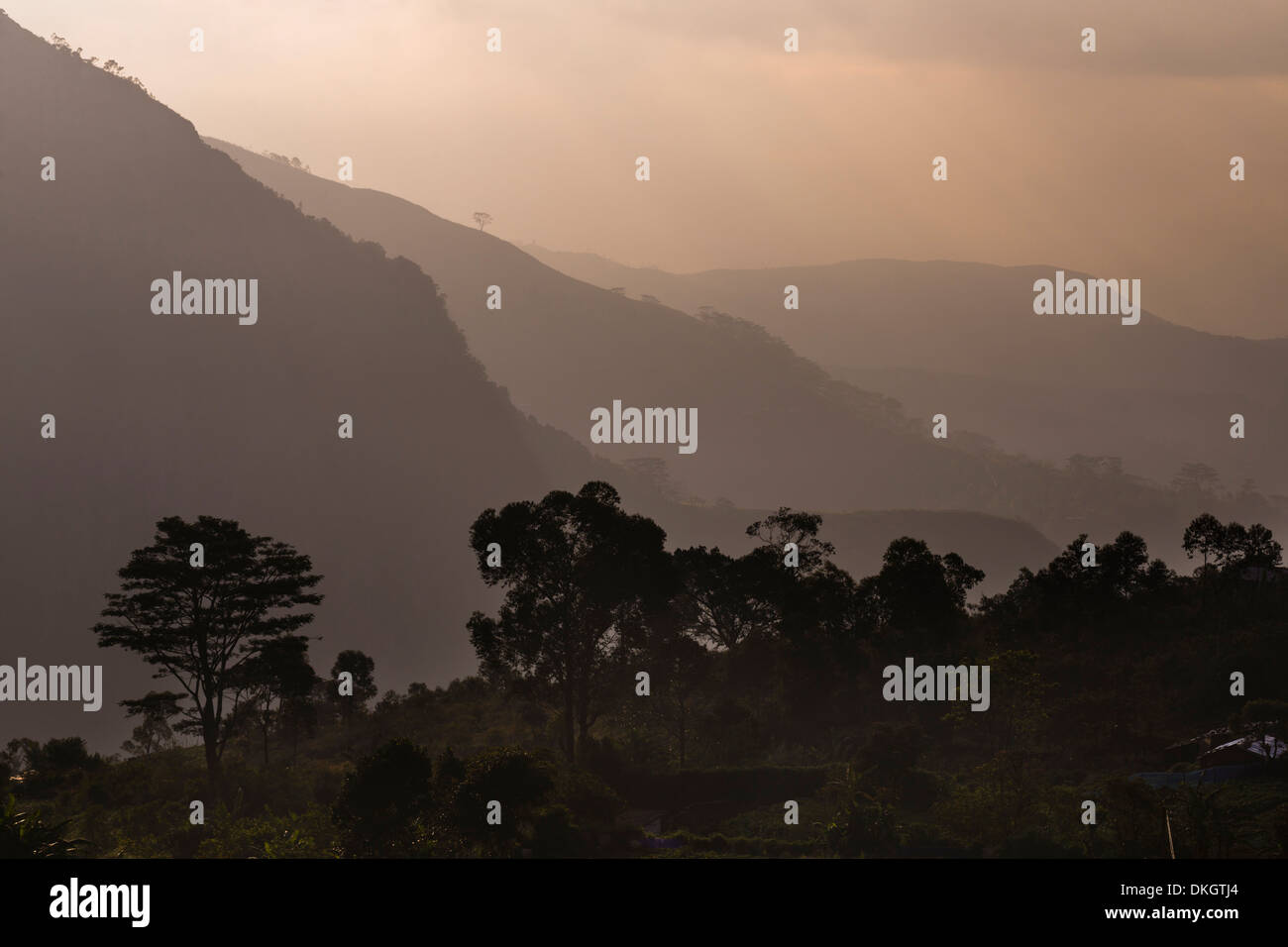 Misty mountain sunrise, Haputale, Sri Lanka Hill Country, Nuwara Eliya distretto, Sri Lanka, Asia Foto Stock