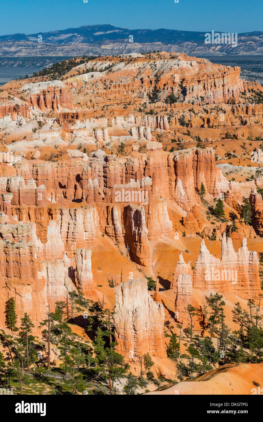 Hoodoo formazioni rocciose nel Bryce Canyon anfiteatro, parco nazionale di Bryce Canyon, Utah, Stati Uniti d'America, America del Nord Foto Stock