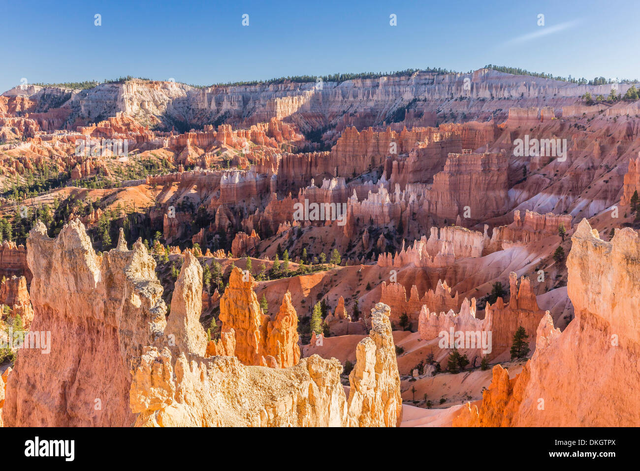 Hoodoo formazioni rocciose nel Bryce Canyon anfiteatro, parco nazionale di Bryce Canyon, Utah, Stati Uniti d'America, America del Nord Foto Stock