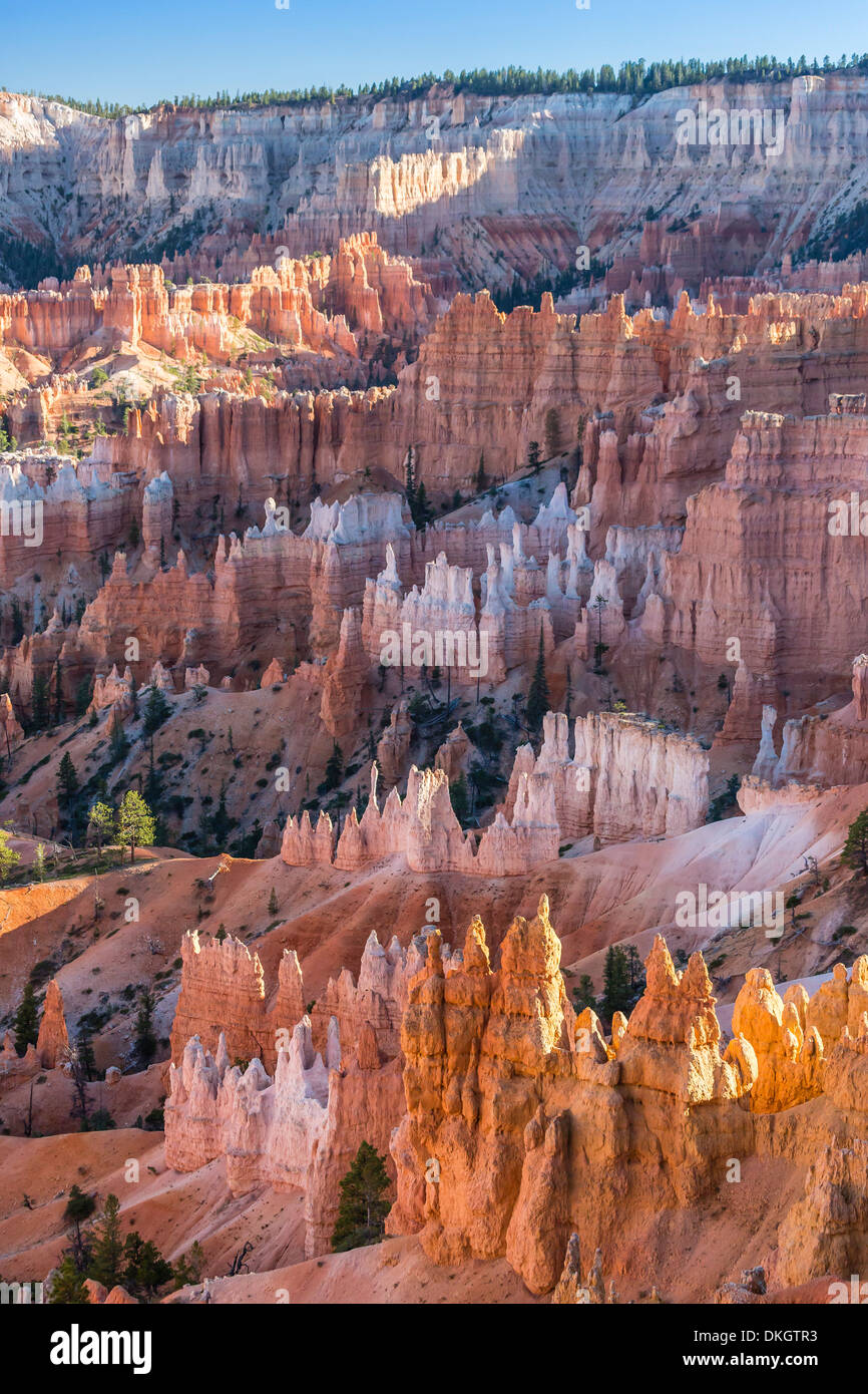 Hoodoo formazioni rocciose nel Bryce Canyon anfiteatro, parco nazionale di Bryce Canyon, Utah, Stati Uniti d'America, America del Nord Foto Stock