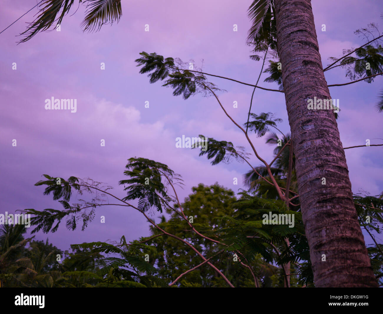 Tramonto tropicale luce in Mirissa, Sri Lanka Foto Stock