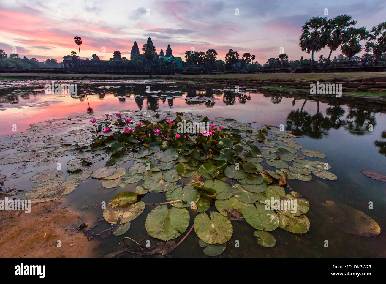 Sunrise oltre Angkor Wat, Angkor, Sito Patrimonio Mondiale dell'UNESCO, Siem Reap Provincia, Cambogia, Indocina, Asia sud-orientale, Asia Foto Stock