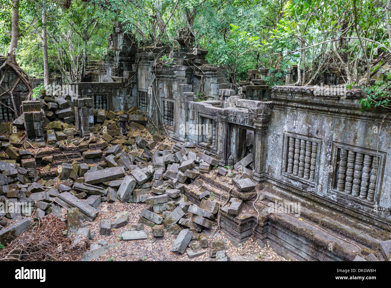 Beng Mealea tempio, ricoperta e cadendo, Angkor, Sito Patrimonio Mondiale dell'UNESCO, Siem Reap Provincia, Cambogia, sud-est asiatico Foto Stock