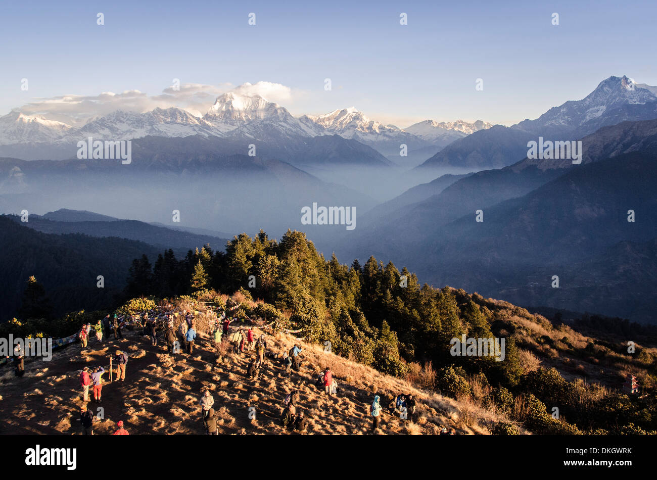 Turisti si riuniscono su Poon Hill per guardare il tramonto sull'Annapurna Himal, Annapurna Conservation Area, Nepal, Himalaya Foto Stock