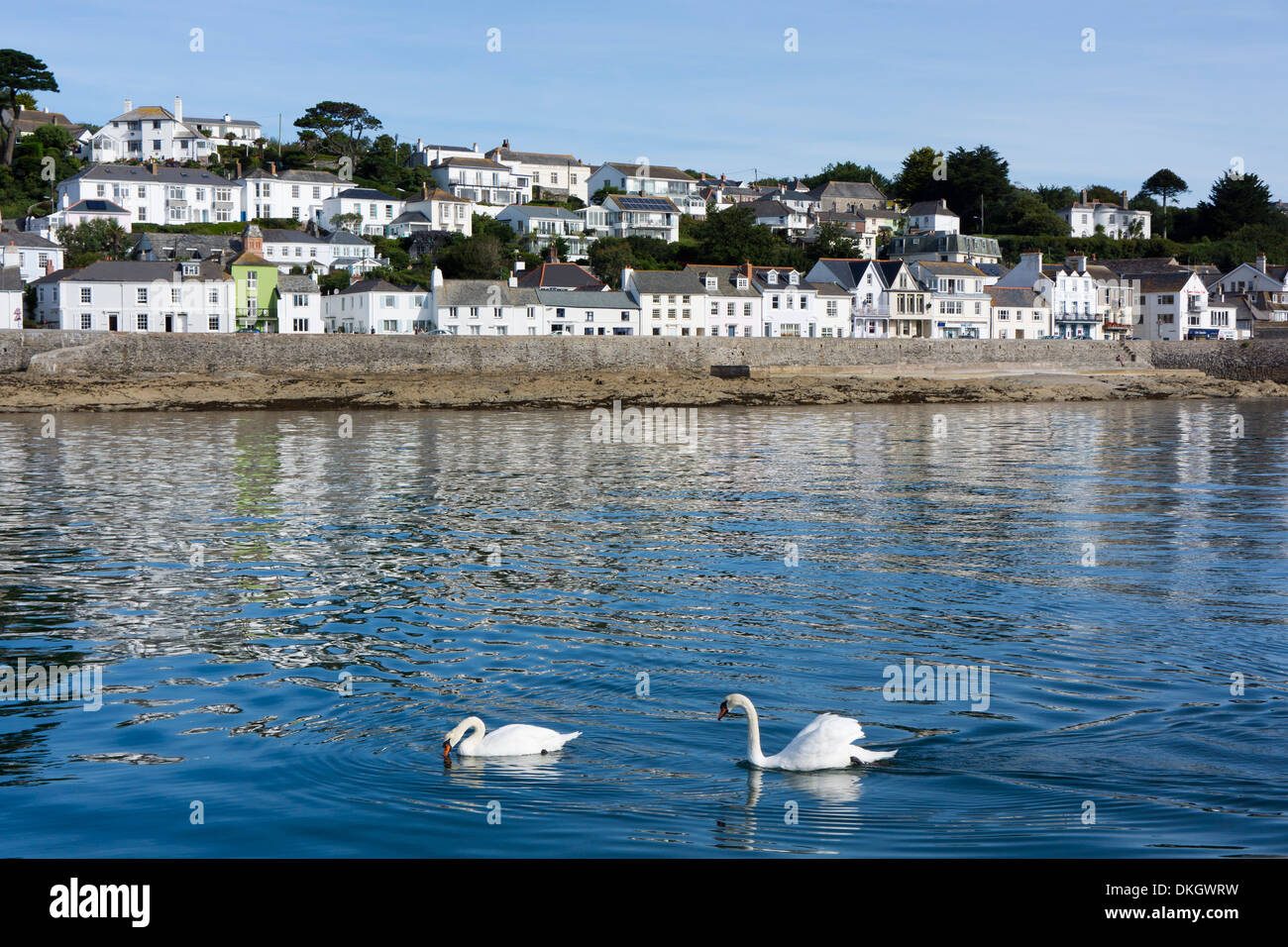 St Mawes, Cornwall, England, Regno Unito, Europa Foto Stock