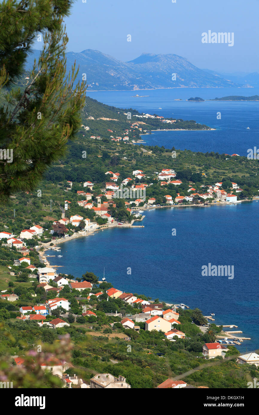 Alta vista del litorale, Viganj, penisola di Sabbioncello, Croazia, Europa Foto Stock