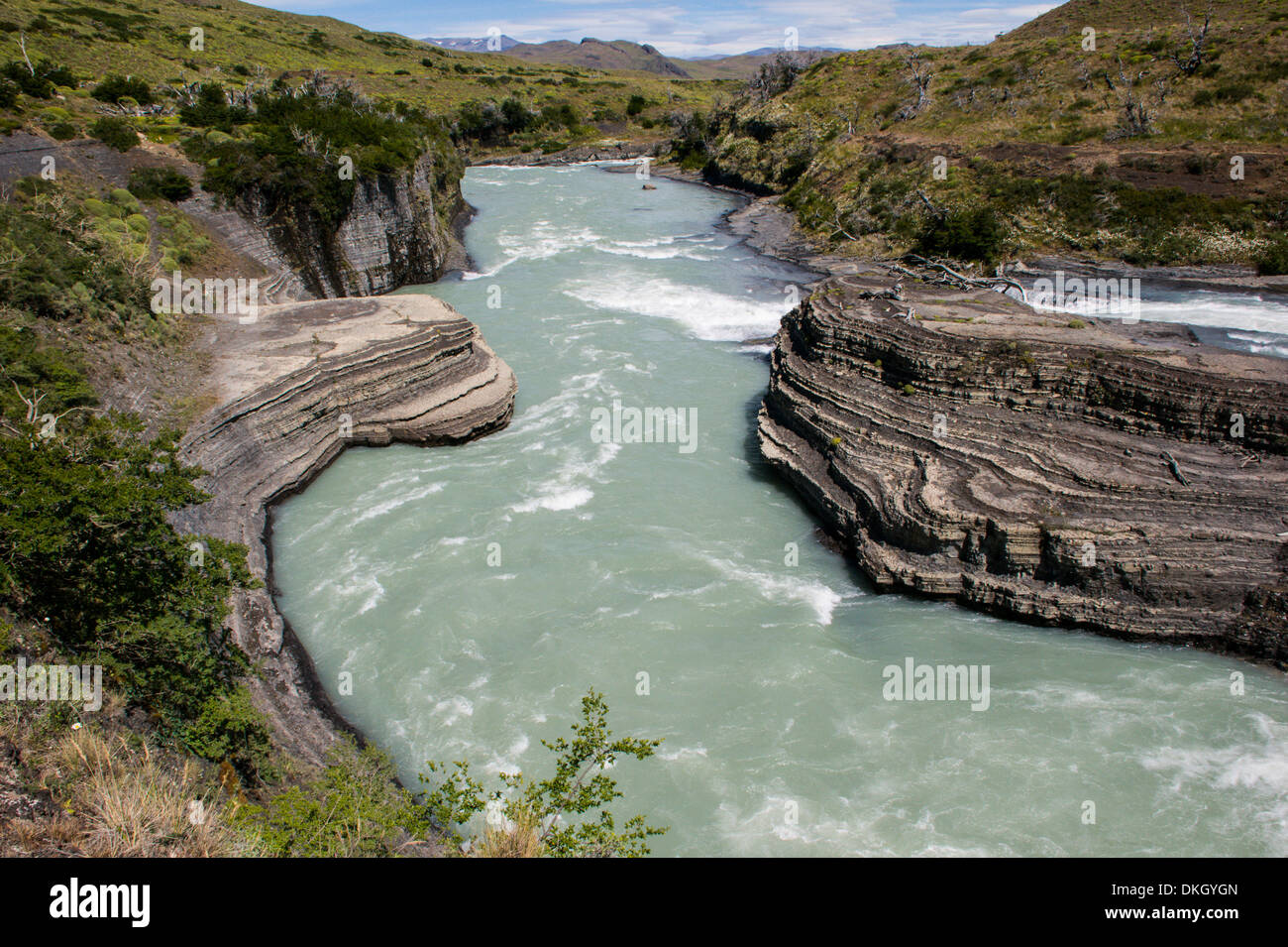 Rio Paine nel Parco Nazionale di Torres del Paine nella Patagonia cilena, Sud America Foto Stock