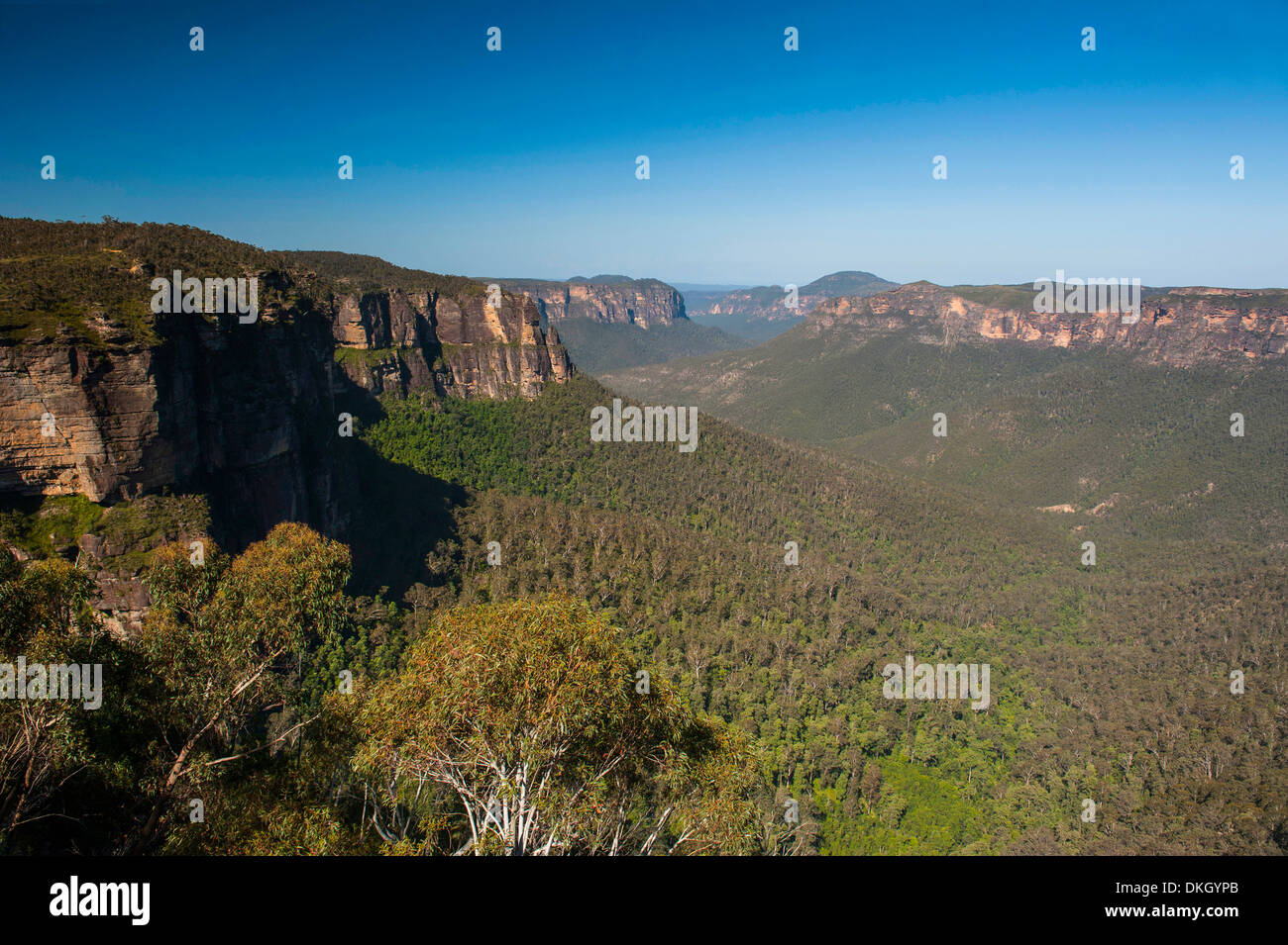 Le scogliere rocciose delle Blue Mountains, Nuovo Galles del Sud, Australia Pacific Foto Stock