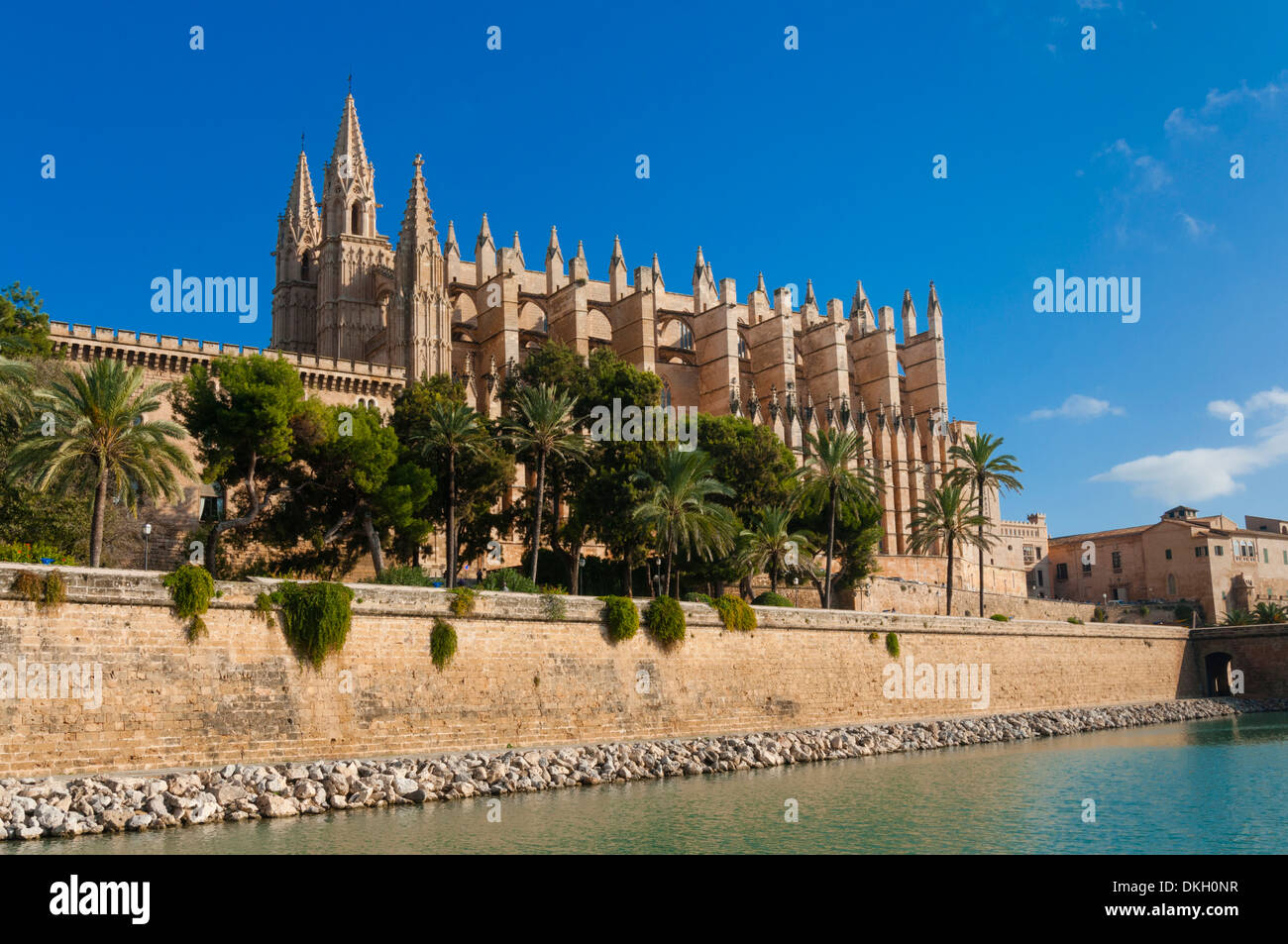 Cattedrale di Santa Maria di Palma (La Seu), Palma de Mallorca, Maiorca, isole Baleari, Spagna, Mediterraneo, Europa Foto Stock