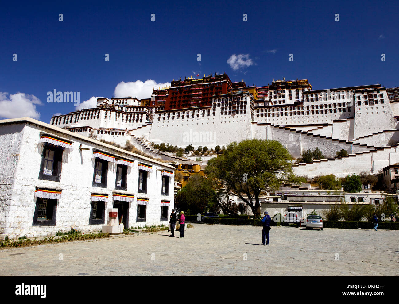 Il palazzo del Potala, Sito Patrimonio Mondiale dell'UNESCO, Lhasa, in Tibet, in Cina Asia Foto Stock