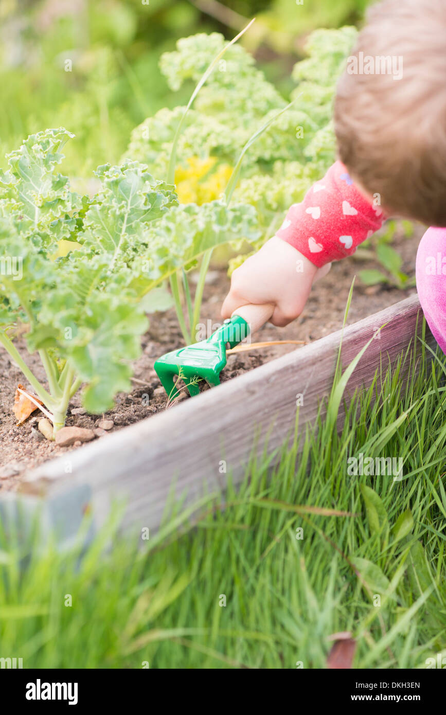 Close up di un giovane bambino in giardino contribuendo con piante vegetali, scavando nel suolo. Foto Stock