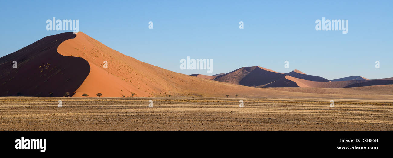 Ferro da stiro dune rosse nel sole del tardo pomeriggio al Sossusvlei, Namib Naukluft, Namibia, Africa Foto Stock
