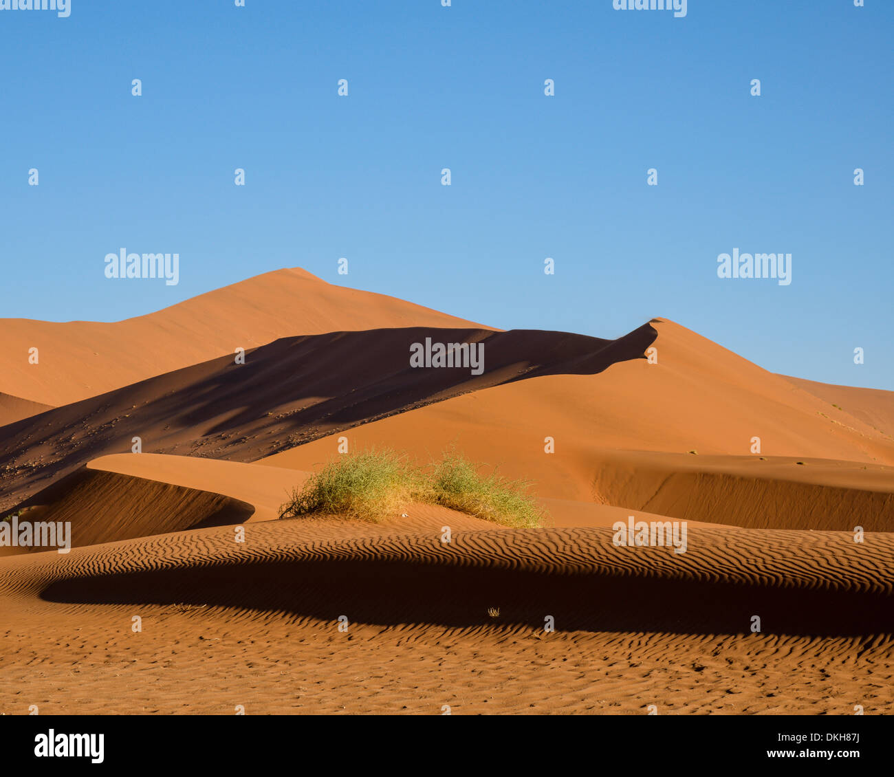 Guardando verso il Big Daddy e la mummia dune a Deadvlei, Namib Naukluft, Namibia, Africa Foto Stock