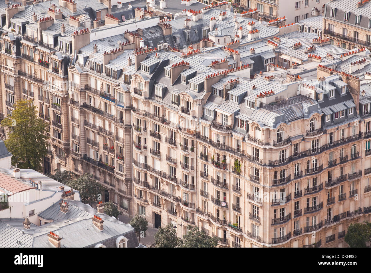 I tetti di Parigi e dalla Torre Eiffel. Foto Stock
