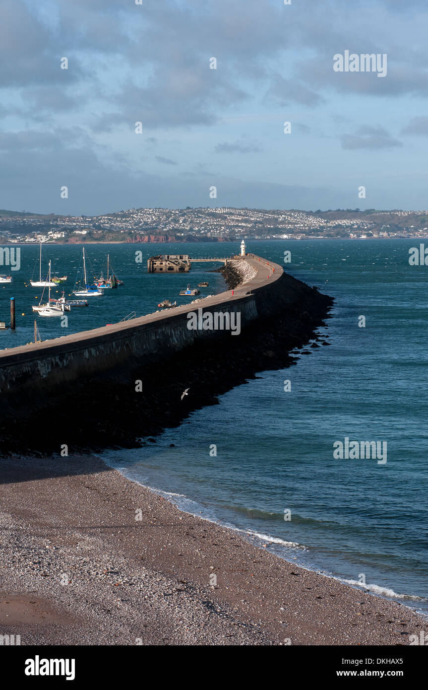 Brixham frangionde,brixham, faro e luce, porto, inglese, frangionde, porto, pesca, devon, oceano, Porto, porto, lente, Foto Stock