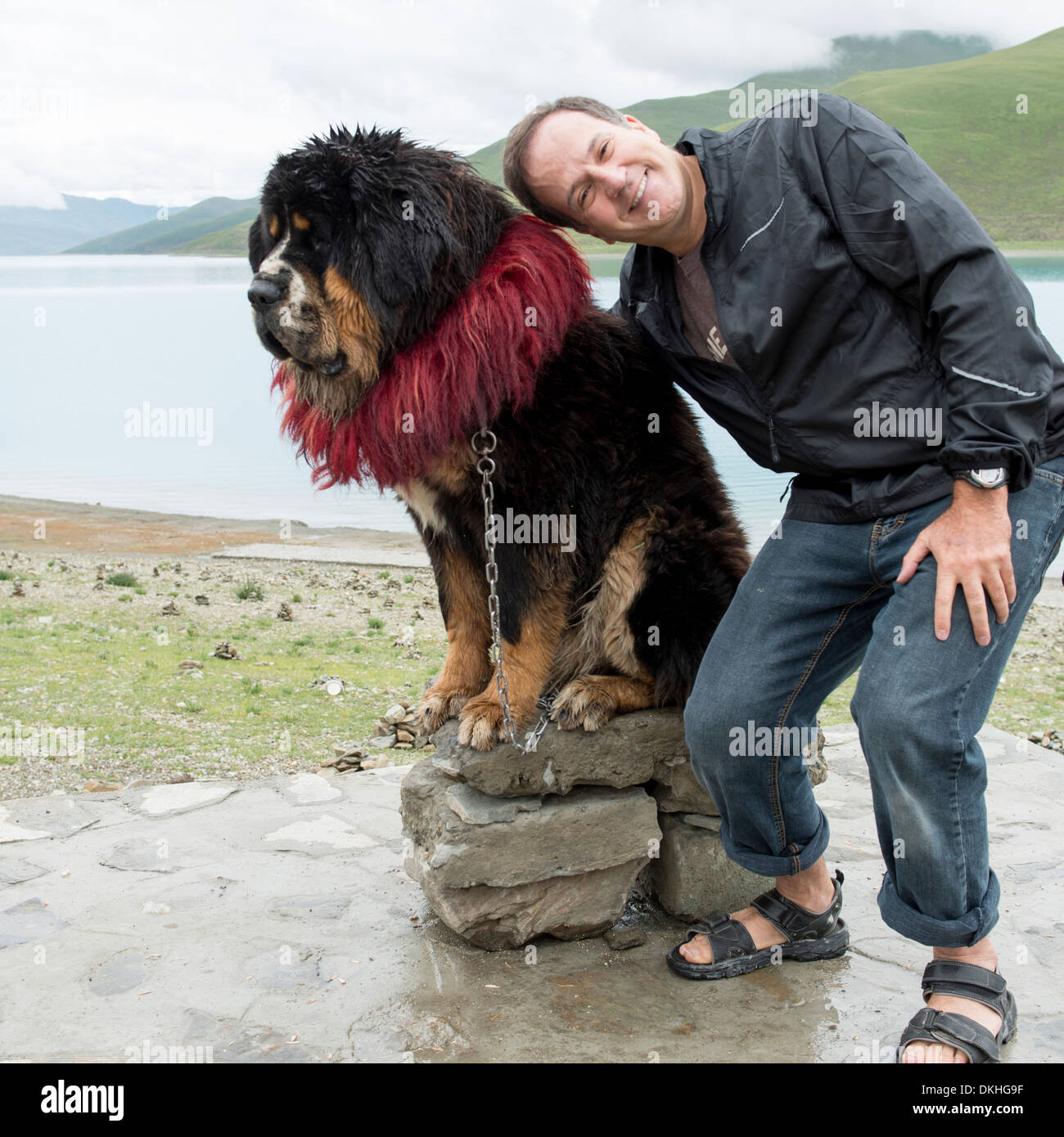 Uomo in posa con decorate Tibetan mastiff cane al Lago Yamdrok, Nagarze, Shannan, Tibet, Cina Foto Stock