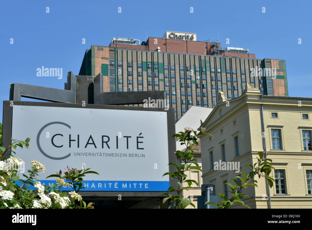 Bettenhochhaus, Charite, Luisenstrasse, nel quartiere Mitte di Berlino, Deutschland Foto Stock