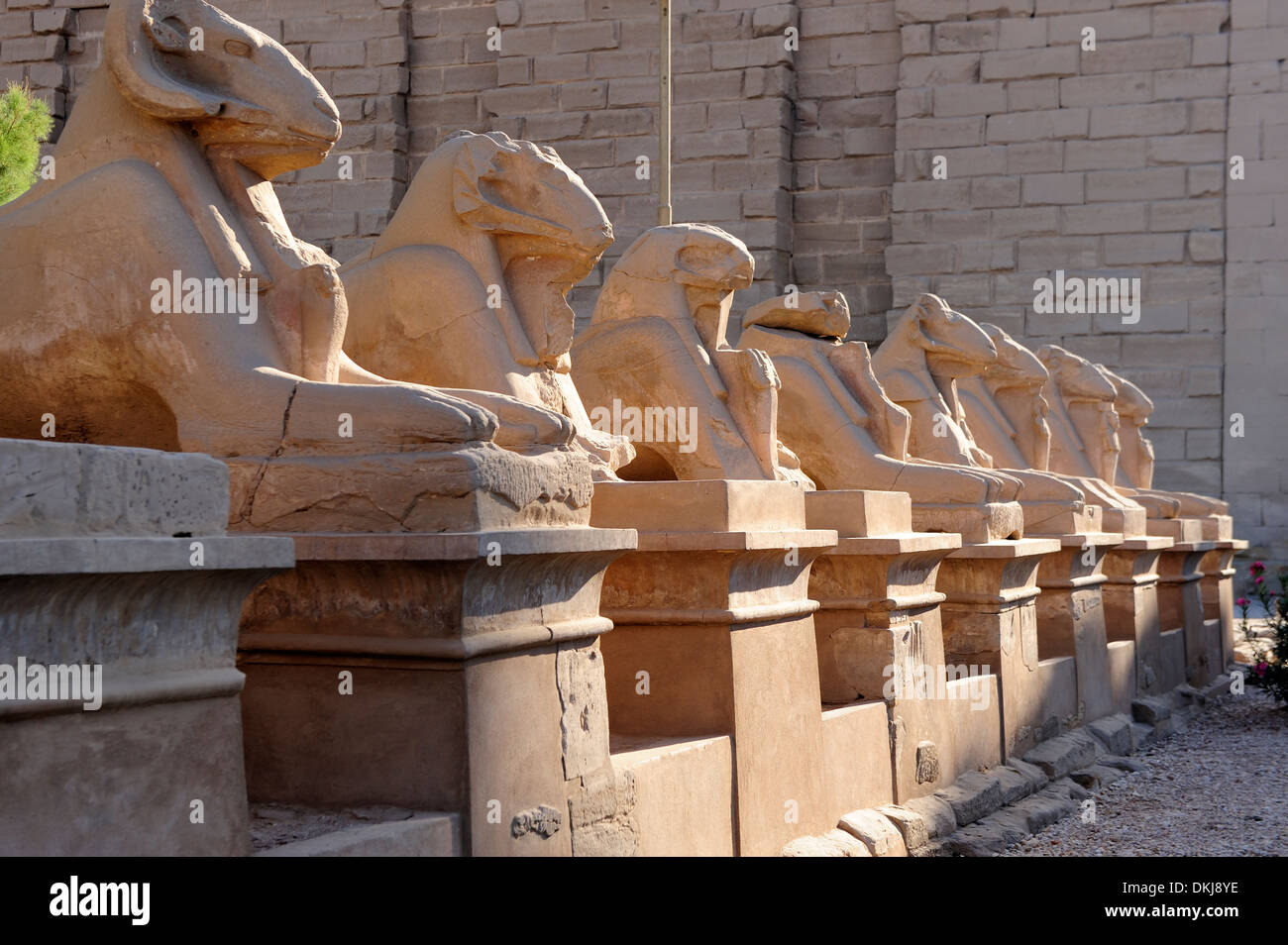 Avenue di ram-guidato sphinx all'ingresso occidentale - Tempio di Karnak Luxor Egitto Foto Stock
