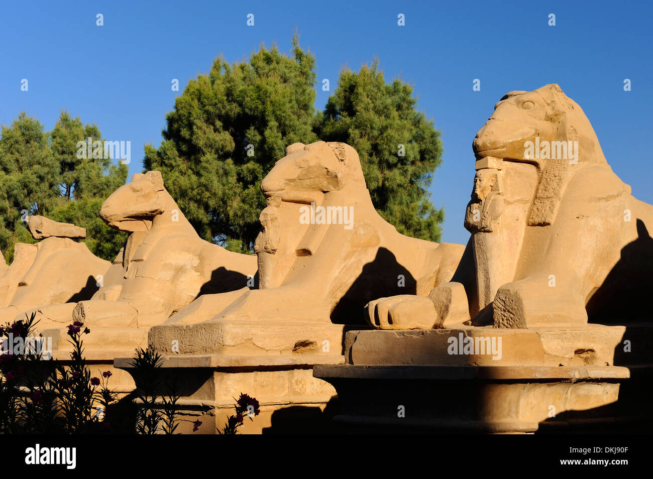 Avenue di ram-guidato sphinx all'ingresso occidentale - Tempio di Karnak Luxor Egitto Foto Stock