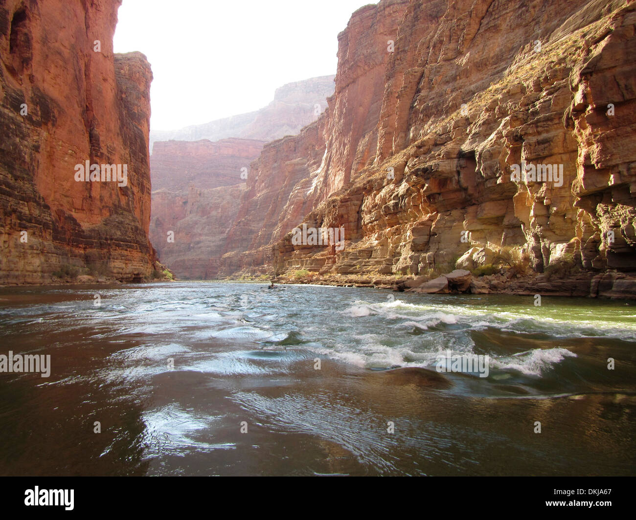 Un singolo progetto esegue alcune piccole rapide nel Grand Canyon Foto Stock
