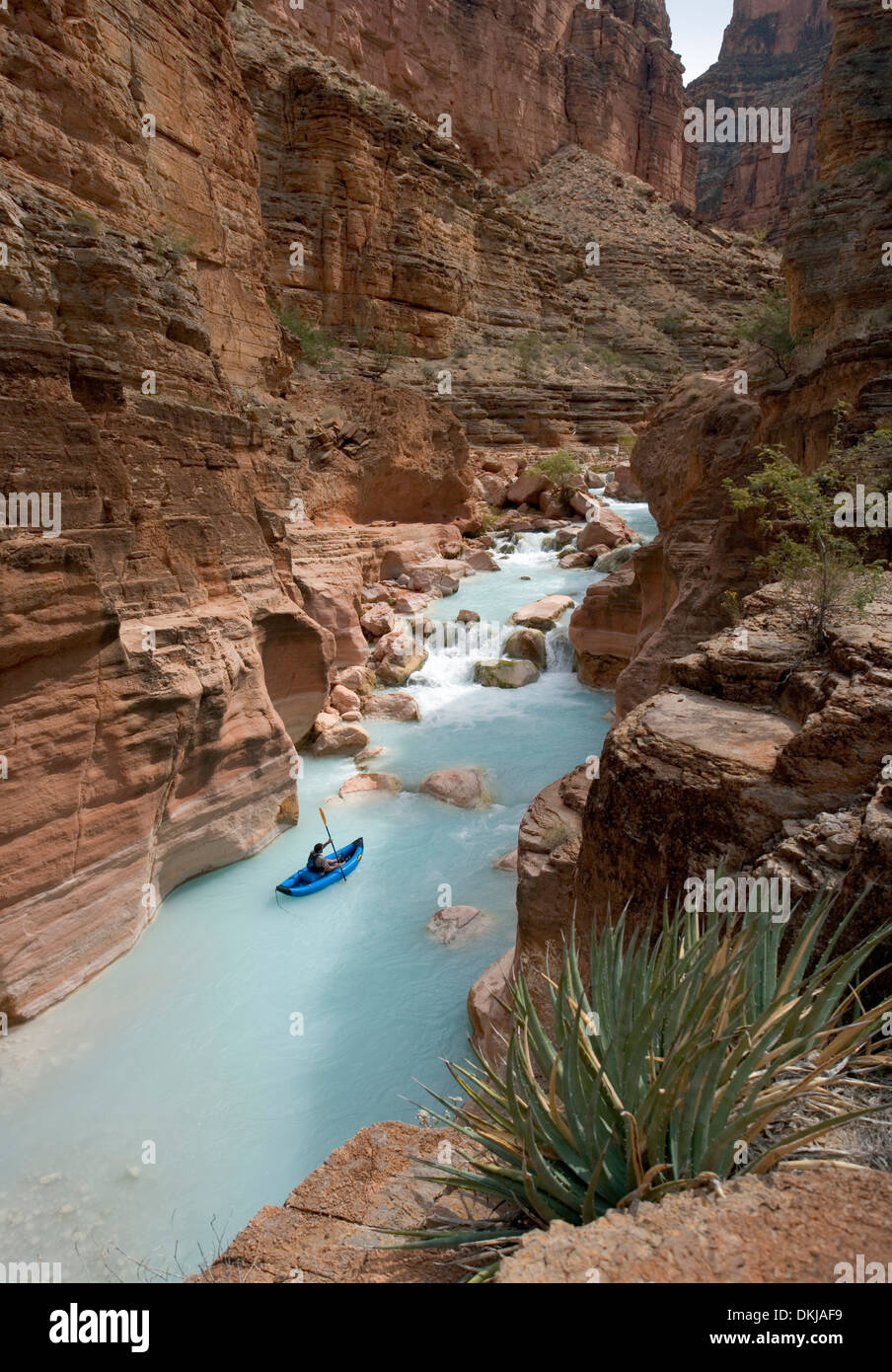 Un uomo pagaie un kayak nello slot canyon presso la foce del fiume Havasu dove incontra il Grand Canyon Foto Stock