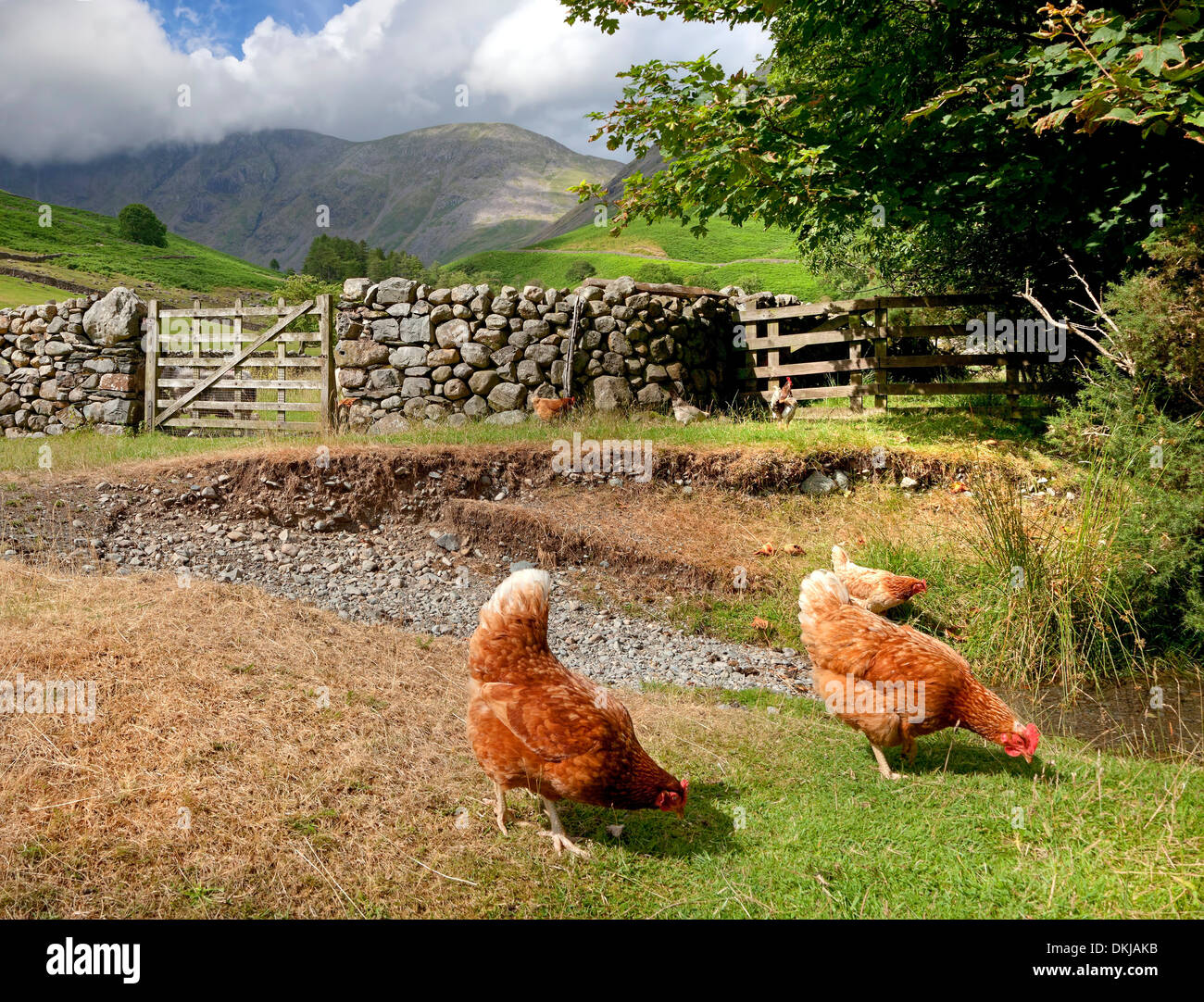 Testa Wasdale vicino Wast Water, nel distretto del lago, Cumbria, Inghilterra. Foto Stock