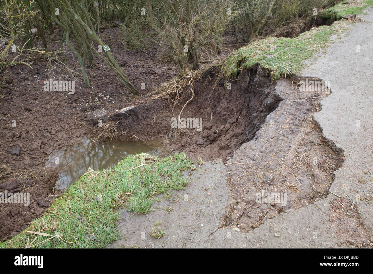 Barton-su-Humber, North Lincolnshire, Regno Unito. 06 Dic, 2013. I danni provocati dai picchi di marea del fiume Humber bank a Barton-su-Humber in North Lincolnshire. Il 6 dicembre 2013. Credito: LEE BEEL/Alamy Live News Foto Stock