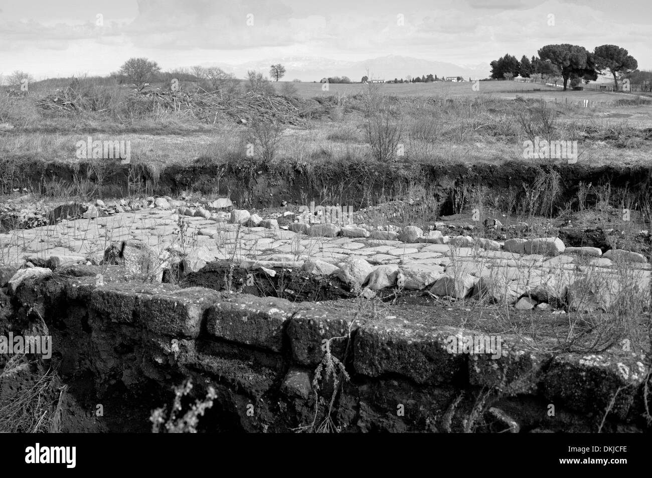 Roma, la Città Eterna, Roma capitale ha una ricca storia che risale a oltre 2500 anni. Foto Stock