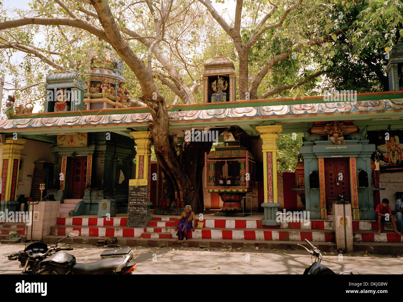 Fotografia di viaggio - albero Hindu Temple in Chennai Madras in Tamil Nadu in India Asia del Sud. La religione edificio religioso architettura di stile di vita Kitsch Foto Stock